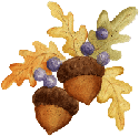 Mixer's acorns